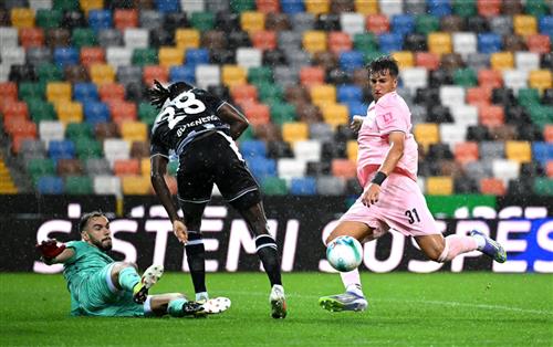 Udinese gegen Palermo