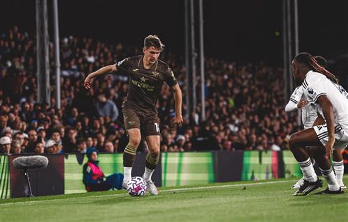 Fulham gegen Brentford