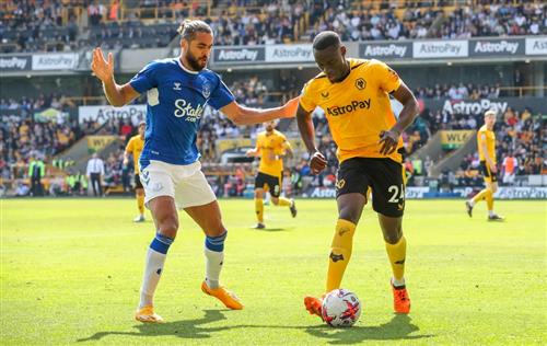 Wölfe gegen Everton