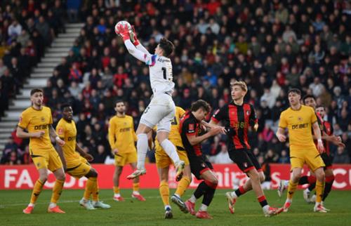 AFC Bournemouth gegen Wolves