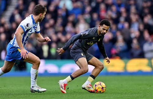 Brighton gegen Everton