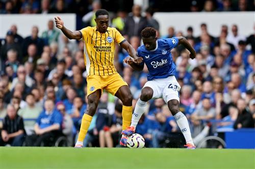 Everton gegen Brighton