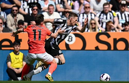 Newcastle United gegen Brighton
