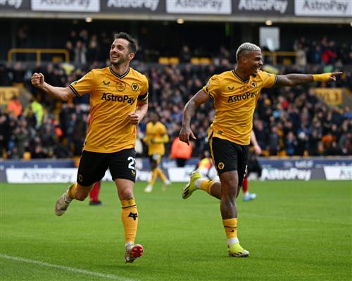 Wölfe gegen Sheffield United