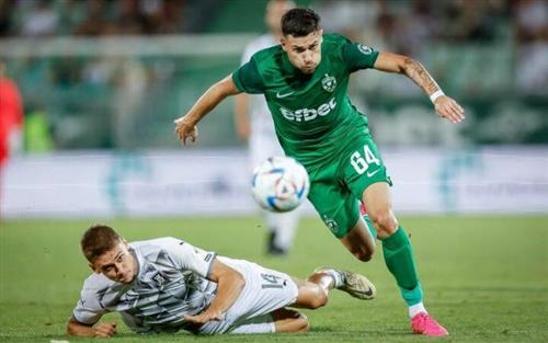 Olympia Ljubljana gegen Lille