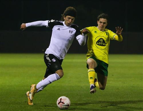 Fulham gegen Norwich City