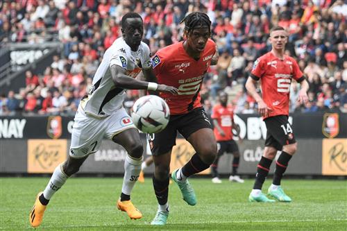 Rennes gegen Angers