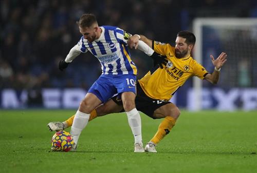 Brighton gegen Wölfe