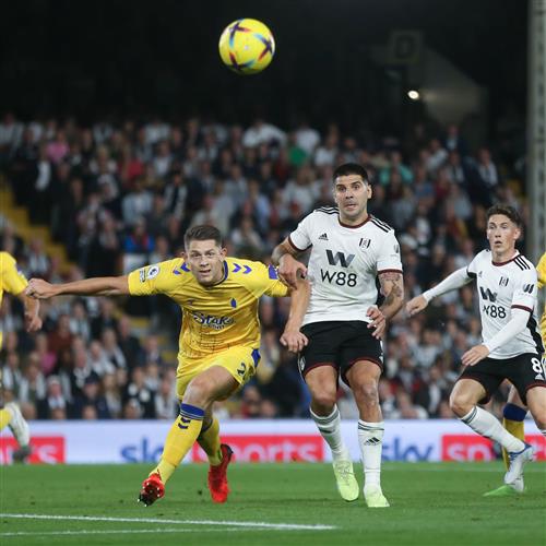 Everton gegen Fulham