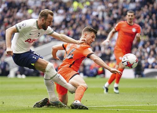 Tottenham Hotspur gegen Brighton