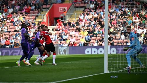 Southampton gegen Fulham